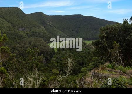 Die Furna do Enxofre, die sich im südöstlichen Teil der Caldeira da Ilha Graciosa auf der Insel Graciosa auf den Azoren befindet, ist eine beeindruckende Lavahöhle. Stockfoto