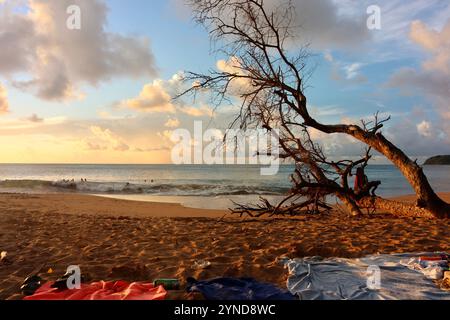 Wunderschöner Sonnenuntergang in Plage de la Perle, Guadeloupe Stockfoto