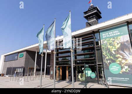 Zoo Kopenhagen - Kopenhagen, Dänemark - 12. September 2024 Stockfoto