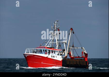 Ein Trawler, der nach Brixham zurückkehrt, von einem hoffentlich fruchtbaren Ausflug auf das Meer Stockfoto