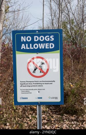 Verbotsschild, das keine Hunde im Tommy Thompson Park in Scarborough, Toronto, Ontario, Kanada erlaubt Stockfoto