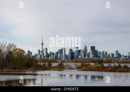 Blick auf die Innenstadt von Toronto vom Tommy Thompson Park in Scarborough, Ontario, Kanada Stockfoto