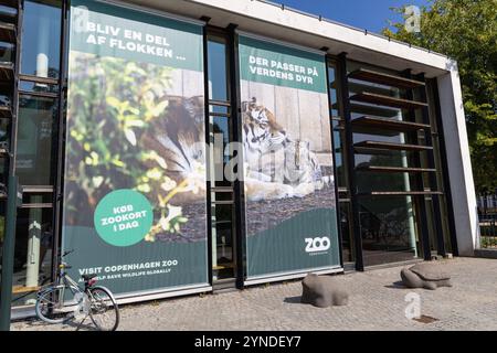 Zoo Kopenhagen - Kopenhagen, Dänemark - 12. September 2024 Stockfoto