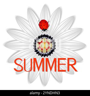 Sommer-Ikone mit abstraktem Gänseblümchen, einem roten Marienkäfer auf weißem Hintergrund. Stock Vektor