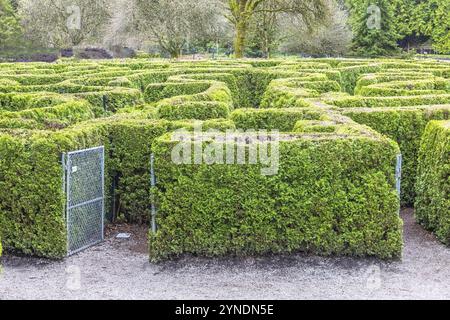 Vancouver, British Columbia, Kanada. April 2024. VanDusen Garden's elisabethan Hedge MazeVancouver, British Columbia, einer von nur sechs in Nordamerika Stockfoto