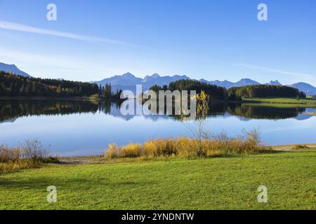 Ein ruhiger See reflektiert die umliegenden Berge und Wälder unter klarem Himmel, Forggensee bei Füssen, Ostallgäu, Bayern, Deutschland, Europa Stockfoto