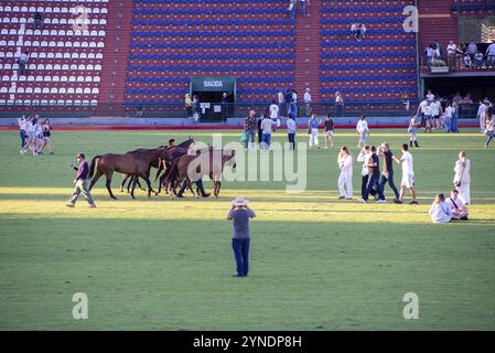 Szene aus der 131. Argentine Open Polo Championship (Spanisch: Campeonato Argentino Abierto de Polo), entspannte Zuschauer und Pferde auf dem Spielfeld Stockfoto