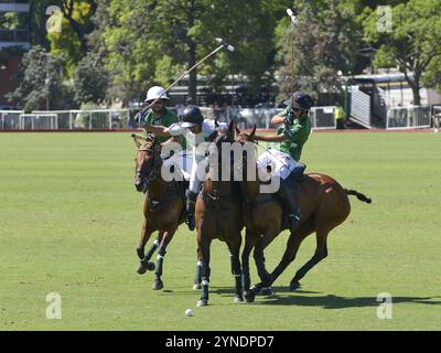 Szene aus der 131. Argentine Open Polo Championship (Spanisch: Campeonato Argentino Abierto de Polo), dem wichtigsten internationalen Polo-Tournamen Stockfoto