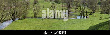 Mäandernder Truchbach mit verwelkter Schwarzerle (Alnus glutinosa), der durch eine Wiese fließt, Egloffstein, Oberfranken, Bayern, Deutschland, Euro Stockfoto