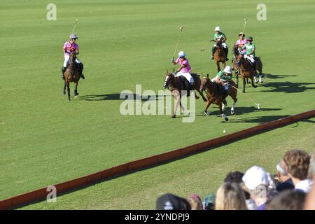 Szene aus der 131. Argentine Open Polo Championship (Spanisch: Campeonato Argentino Abierto de Polo), dem wichtigsten internationalen Polo-Tournamen Stockfoto