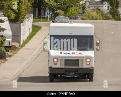 Calgary, Alberta, Kanada. Juni 2024. Ein FedEx-Lieferwagen fährt an einem sonnigen Tag eine Vorstadtstraße entlang. Das Fahrzeug ist mittig im Rahmen, wi Stockfoto