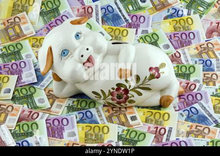 Eine Sparkasse liegt auf Euro-Banknoten, Euro, Banknoten, Geld, Banknoten, Sparen, Altersvorsorge, Pension, Nest Eierstudio Foto, Bundesrepublik Stockfoto