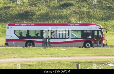 Calgary, Alberta, Kanada. Juli 2023. Ein Calgary Transit Bus auf der Strecke während der Sommerzeit Stockfoto