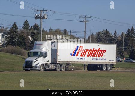 Calgary, Alberta, Kanada. Mai 2023. Ein Purolator-Anhänger-Truck auf einer Autobahn Stockfoto