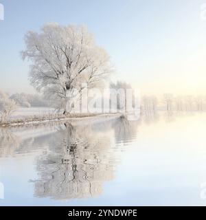 Frostiger Winterbaum am blauen Himmel bei Sonnenaufgang Stockfoto
