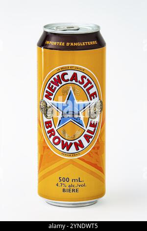 Calgary, Alberta, Kanada. Juni 2020. Eine isolierte Newcastle Brown Ale Tallboy Bierdose auf weißem Hintergrund Stockfoto