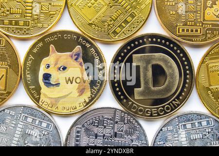 Calgary, Alberta, Kanada. Mai 2021. Ein paar Dogecoin mit mehreren Kryptowährungsmünzen Stockfoto