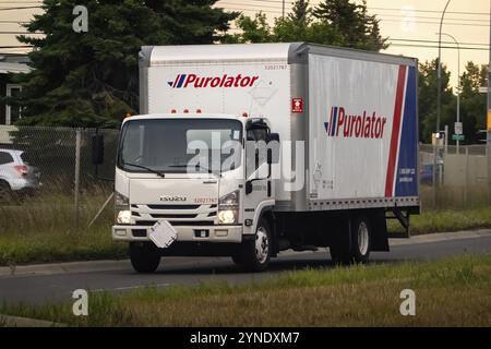 Calgary, Alberta, Kanada. August 2024. Weißer Isuzu Box Truck mit Purolator Branding, der mehrere Sendungsverfolgungsnummern und Unternehmensinformationen anzeigt Stockfoto