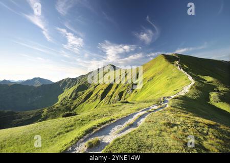 Versuch auf den Gipfel der Tatra am Morgen, Juni, Polen, Europa Stockfoto