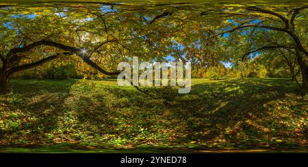 360 Grad Panorama Ansicht von 360 x 180 Grad volles kugelförmiges Panorama unter gelber Eiche am sonnigen Herbsttag im Park mit blauem Himmel und Wolken. Äquirechteckige Projektion.