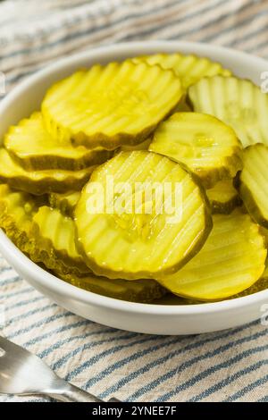 Hausgemachte Bio-Dill-Pickle-Scheiben in einer Schüssel Stockfoto