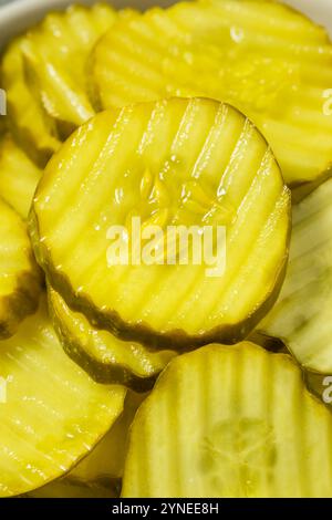 Hausgemachte Bio-Dill-Pickle-Scheiben in einer Schüssel Stockfoto