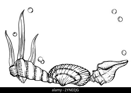 Meeresbodenlandschaft mit Muscheln und Algen. Unterwasser-Designvorlage Zeichnung im Strichstil. Handgezeichnete Vektorillustration der Untersee: Algen Stock Vektor