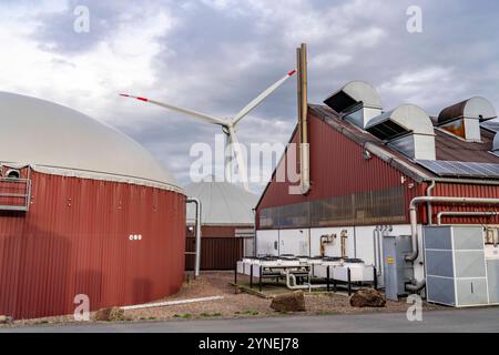 Biogasanlage erzeugt Gas aus verschiedener Biomasse, der Strom wird in Blockheizkraftwerken, mit dem erzeugten Biogas hergestellt und an Unternehmen im benachbarten Gewerbegebiet verkauft, die entstandene Wärme wird in einem Nahwärmenetz eingespeist, GASSPEICHER und Windkraftwerk, Ense, NRW, Deutschland, Biogasanlage *** Biogasanlage erzeugt Gas aus verschiedenen Biomassen, der Strom wird in Blockheizkraftwerken erzeugt und an Unternehmen im benachbarten Industriegebiet verkauft, die erzeugte Wärme wird in ein Nahwärmenetz, Gasspeicher und Windkraftanlagen eingespeist Stockfoto