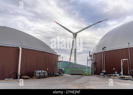 Biogasanlage erzeugt Gas aus verschiedener Biomasse, der Strom wird in Blockheizkraftwerken, mit dem erzeugten Biogas hergestellt und an Unternehmen im benachbarten Gewerbegebiet verkauft, die entstandene Wärme wird in einem Nahwärmenetz eingespeist, GASSPEICHER und Windkraftwerk, Ense, NRW, Deutschland, Biogasanlage *** Biogasanlage erzeugt Gas aus verschiedenen Biomassen, der Strom wird in Blockheizkraftwerken erzeugt und an Unternehmen im benachbarten Industriegebiet verkauft, die erzeugte Wärme wird in ein Nahwärmenetz, Gasspeicher und Windkraftanlagen eingespeist Stockfoto