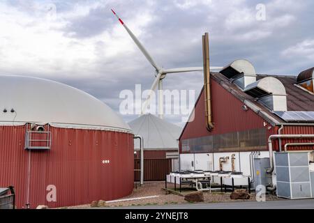 Biogasanlage erzeugt Gas aus verschiedener Biomasse, der Strom wird in Blockheizkraftwerken, mit dem erzeugten Biogas hergestellt und an Unternehmen im benachbarten Gewerbegebiet verkauft, die entstandene Wärme wird in einem Nahwärmenetz eingespeist, GASSPEICHER und Windkraftwerk, Ense, NRW, Deutschland, Biogasanlage *** Biogasanlage erzeugt Gas aus verschiedenen Biomassen, der Strom wird in Blockheizkraftwerken erzeugt und an Unternehmen im benachbarten Industriegebiet verkauft, die erzeugte Wärme wird in ein Nahwärmenetz, Gasspeicher und Windkraftanlagen eingespeist Stockfoto