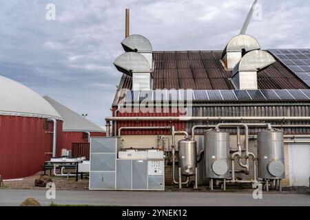 Biogasanlage erzeugt Gas aus verschiedener Biomasse, der Strom wird in Blockheizkraftwerken, mit dem erzeugten Biogas hergestellt und an Unternehmen im benachbarten Gewerbegebiet verkauft, die entstandene Wärme wird in einem Nahwärmenetz eingespeist, GASSPEICHER und Windkraftwerk, Ense, NRW, Deutschland, Biogasanlage *** Biogasanlage erzeugt Gas aus verschiedenen Biomassen, der Strom wird in Blockheizkraftwerken erzeugt und an Unternehmen im benachbarten Industriegebiet verkauft, die erzeugte Wärme wird in ein Nahwärmenetz, Gasspeicher und Windkraftanlagen eingespeist Stockfoto