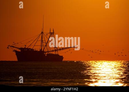 Isle Of Palms, Usa. November 2024. Ein Trawler schleppt Garnelennetze, die bei Sonnenaufgang in der Isle of Palms, South Carolina, am 25. November 2024 entlang der Küste. Quelle: Richard Ellis/Richard Ellis/Alamy Live News Stockfoto