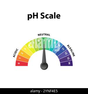 Anzeigediagramm für farbenfrohe Ph-Pegel-Skala. Alkalische, neutrale, saure Lösung. Stock Vektor