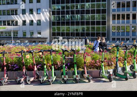 Oslo Norwegen, rote und grüne batteriebetriebene Motorroller zur Vermietung für Stadtrundfahrten, Oslo Stadtzentrum, Norwegen, 2024 Stockfoto