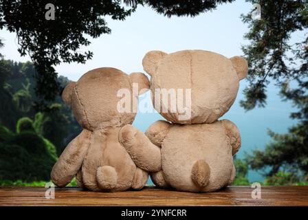 Flauschige Teddybären auf hölzerner Oberfläche mit Blick auf die malerische Landschaft, Rückansicht Stockfoto