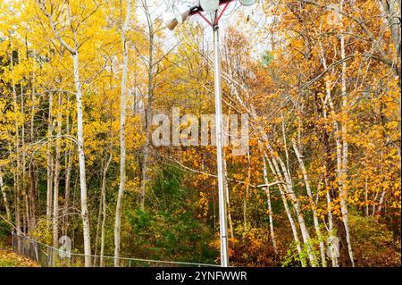 Lichtmast an der Go-Cart-Strecke im verlassenen Touristenzentrum in der Nähe von Ludington, Michigan, USA. Fotografie von Jeffrey Wickett, NorthLight Photography. Stockfoto