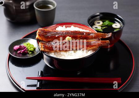 Japanische Unagi-Aal-Schüssel Stockfoto