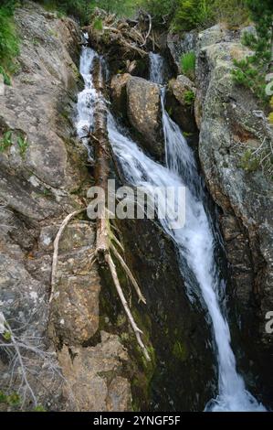 Coma Pedrosa Fluss, im Nationalpark Comapedrosa (Andorra, Pyrenäen) ESP: Río de Coma Pedrosa, en el Parque Comunal del Comapedrosa (Andorra) Stockfoto