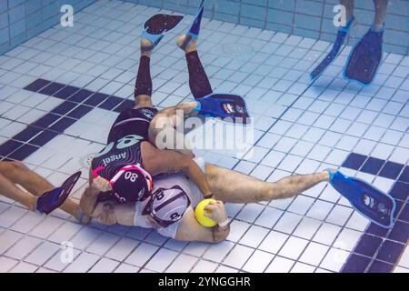 Berlin, Deutschland. November 2024. ZWEIKAMPF auf dem Boden des Schwimmbeckens zwischen Jannik Graf (DUC Krefeld, #08) und Miguel Rivera (Orcas, #80). GER, Unterwasser-Rugby, Champions Cup 2024, 24.11.2024 Foto: EIbner/Ardan Fuessmann Credit: dpa/Alamy Live News Stockfoto