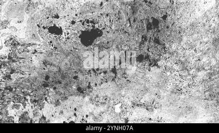 Abstrakter Marmorhintergrund aus verschiedenen Grautönen. Schwarze und weiße Flecken. Chaotische Flecken, Wellen, Streifen und Punkte. Sie bilden unterschiedliche Texturen. Stockfoto
