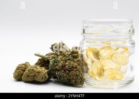 Cannabisknospen oder „Blüten“ getrocknete, geerntete Blüten der Cannabispflanze, bedeckt mit einer frostigen Schicht von Trichomen – winzigen, kristallartigen Harzdrüsen Stockfoto
