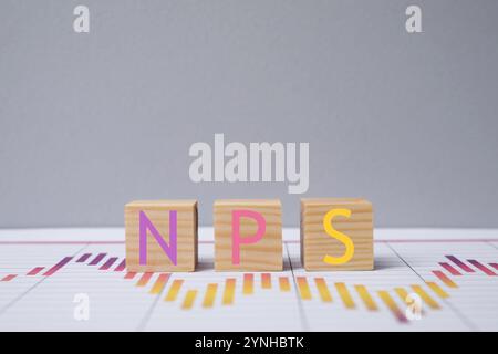 Abkürzung NPS (Net Promoter Score) aus Würfeln vor grauem Hintergrund Stockfoto