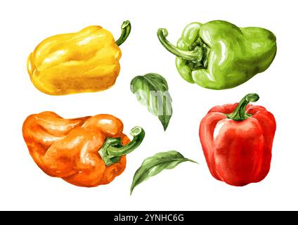 Buntes süßes Paprika-Set. Aquarell handgemalte Illustration, isoliert auf weißem Hintergrund Stockfoto