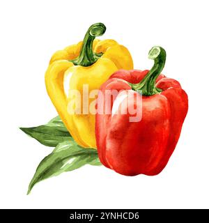 Bunte Süße Paprika mit grünen Blättern. Aquarell handgemalte Illustration isoliert auf weißem Hintergrund Stockfoto