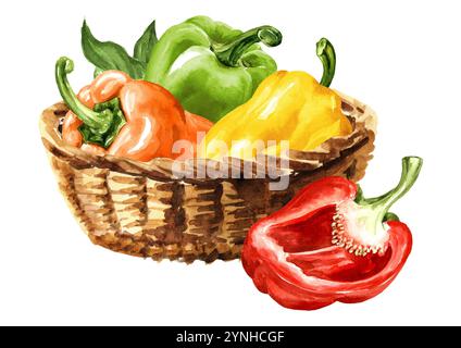 Bunte Süße Paprika im Korb. Aquarell handgemalte Illustration, isoliert auf weißem Hintergrund Stockfoto