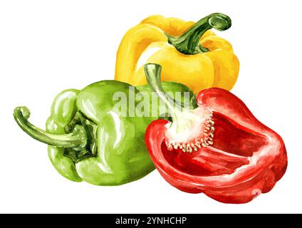 Bunte süße Glockenpfeffer, Paprika, Aquarell handgemalte Illustration, isoliert auf weißem Hintergrund Stockfoto