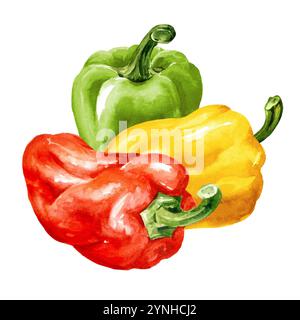 Bunte Süße Paprika. Aquarell handgemalte Illustration, isoliert auf weißem Hintergrund Stockfoto