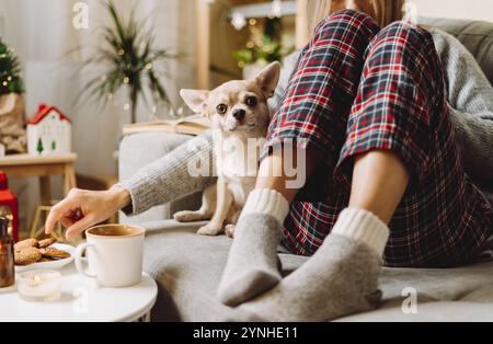 Gemütliche Frau in gestrickten Winter warme Socken und Pullover und karierte Pyjama essen Cookies mit Hund, während der Ruhe auf der Couch zu Hause in Weihnachten Stockfoto
