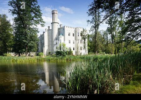 Schoss Fischbach, Schloss Karpniki, Jelenia Gora, Hirschberger Tal, Niederschlesien, Polen Stockfoto