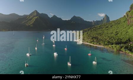 Viele Yachten, Segelboote und Katamarane ankern im ruhigen türkisfarbenen Wasser der Bucht von Opunohu, der Insel Moorea in Französisch-Polynesien, der grünen tropischen Vegetation und den Bergen bei Sonnenuntergang. Beliebtes Touristenziel Stockfoto